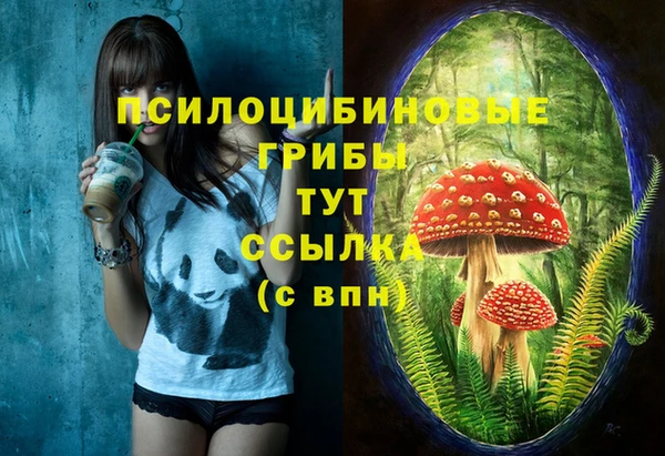 прущая мука Нефтегорск