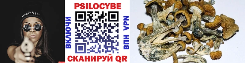 Псилоцибиновые грибы ЛСД  купить  сайты  Палласовка 
